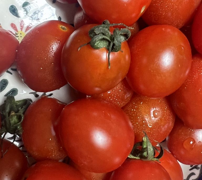 과일차 만드는 방법 건강효과 알아봅시다