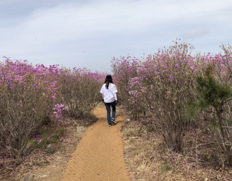 아침운동 좋은점과 단점 알아봅시다