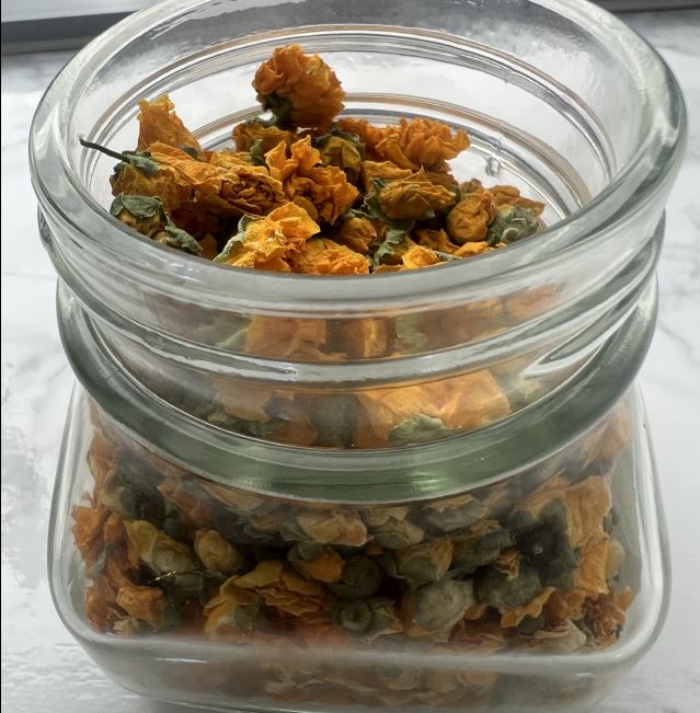 피부건강 피부에 좋은차 알아봅시다