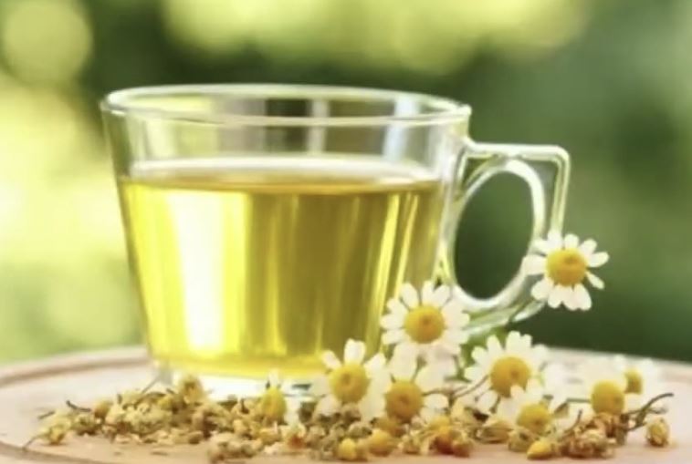 잠이 오지 않을 때 마시면 좋은 차, 졸릴때 마시는 차 알아보겠습니다