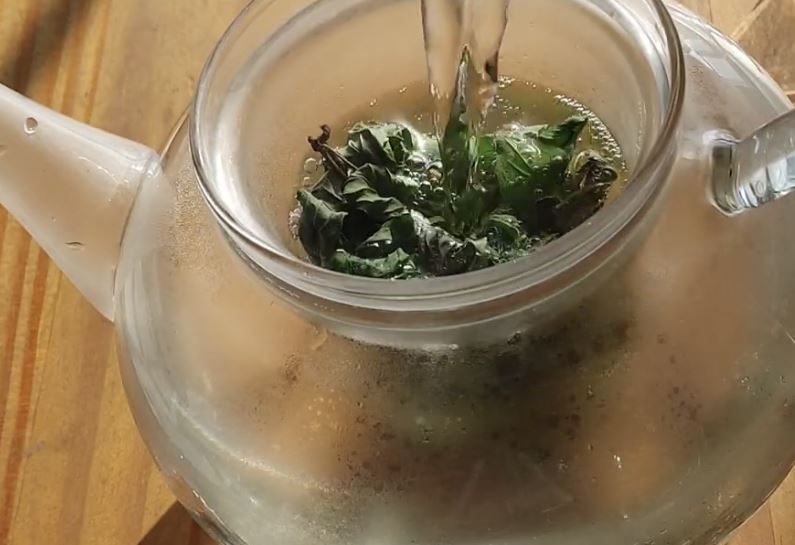 커피 대신 마시면 좋은 허브차