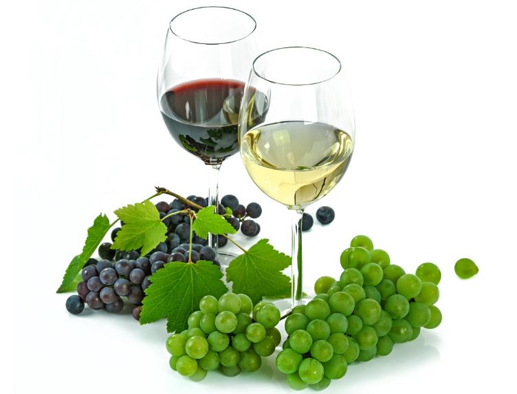 술깨는 음료수 알아보겠습니다