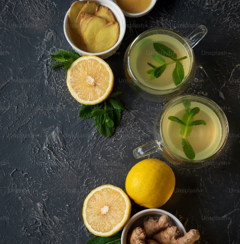 식사 대신 마시는 차 알아보겠습니다