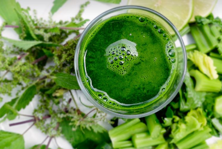 저칼로리 음료수 알아보겠습니다