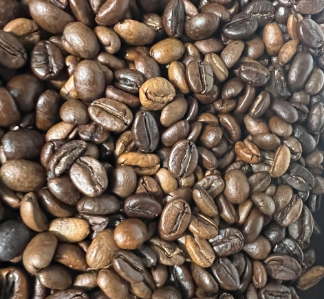 커피의 품종, 로부스타 커피 품종 내용 알아보겠습니다