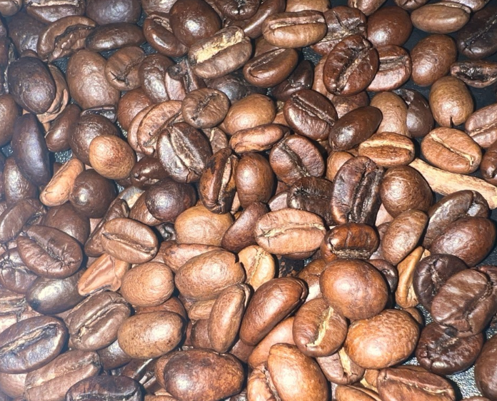 커피의 품종 아라비카 내용 알아보겠습니다