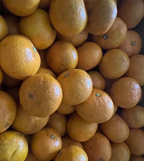 귤껍질 차 효능과 쉽게 만드는 방법 알아보겠습니다