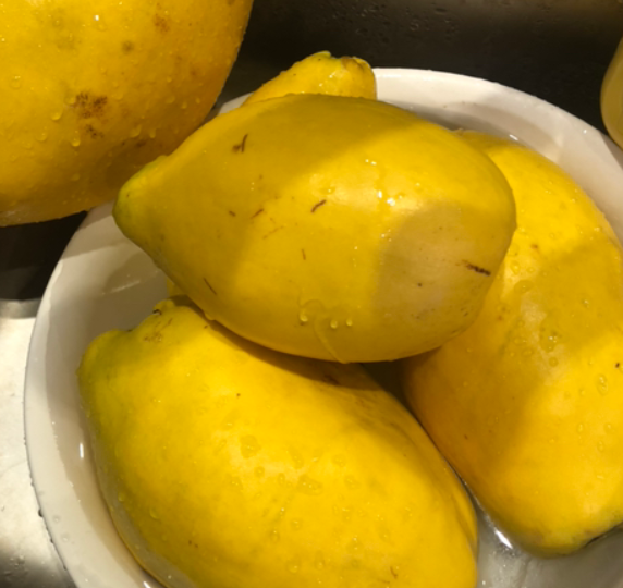 겨울에 좋은 차 모과효능,모과청 모과차 만들기