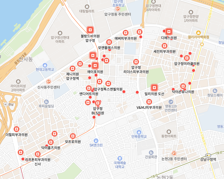 강남구 신사동 피부과 의원 추천 필러 보톡스 제모 색소